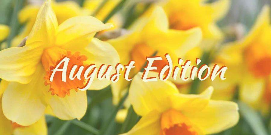August 2026