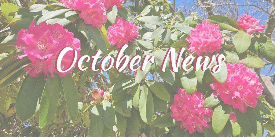 October Newsletter